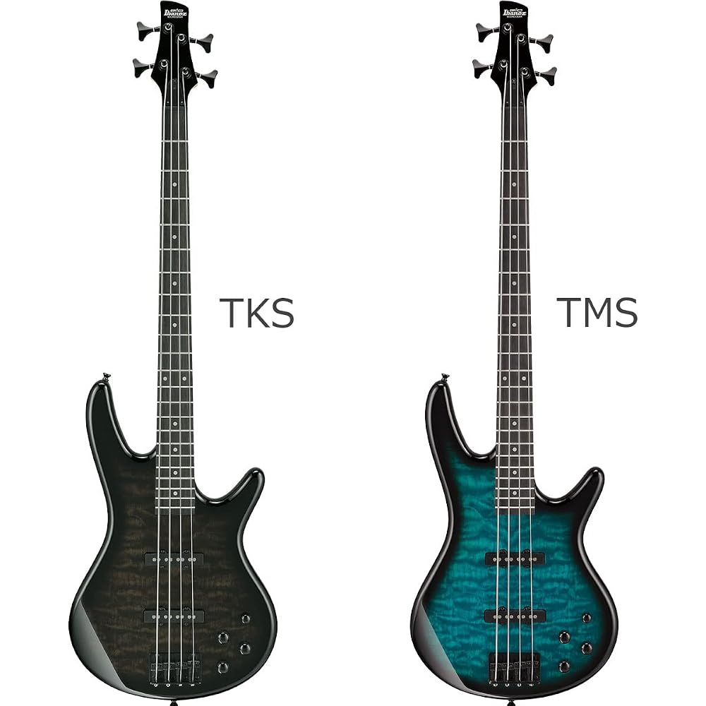 Бас-гитара Gio Ibanez GSR280QA для начинающих, набор из 12 предметов [с перезаряжаемым мини-усилителем] TMS Электроба...