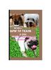 Книга How To Train a Dog : A Step-by-Step Approach To Canine Obidience and Behavior