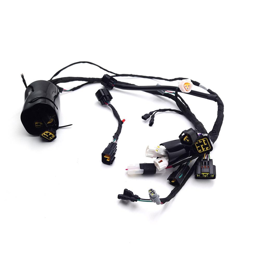 Main Wire Harness Cable Assembly w/Fault Detection Line For SurRon Light Bee X S