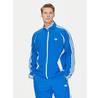 Толстовка adidas adicolor Teamgeist