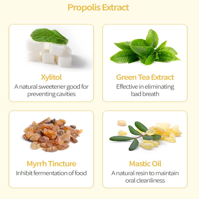 Atomy Genuine Toothpaste Natural Oral Care with Propolis Green Tea (5ea 200g)