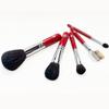 Ohishi Kumano Supervised Makeup Brush Gift Set of 5: Sakura Ohishi Powder Brush, Cheek Brush, Eyeshadow Brush, Eye Tip Brush & Comb