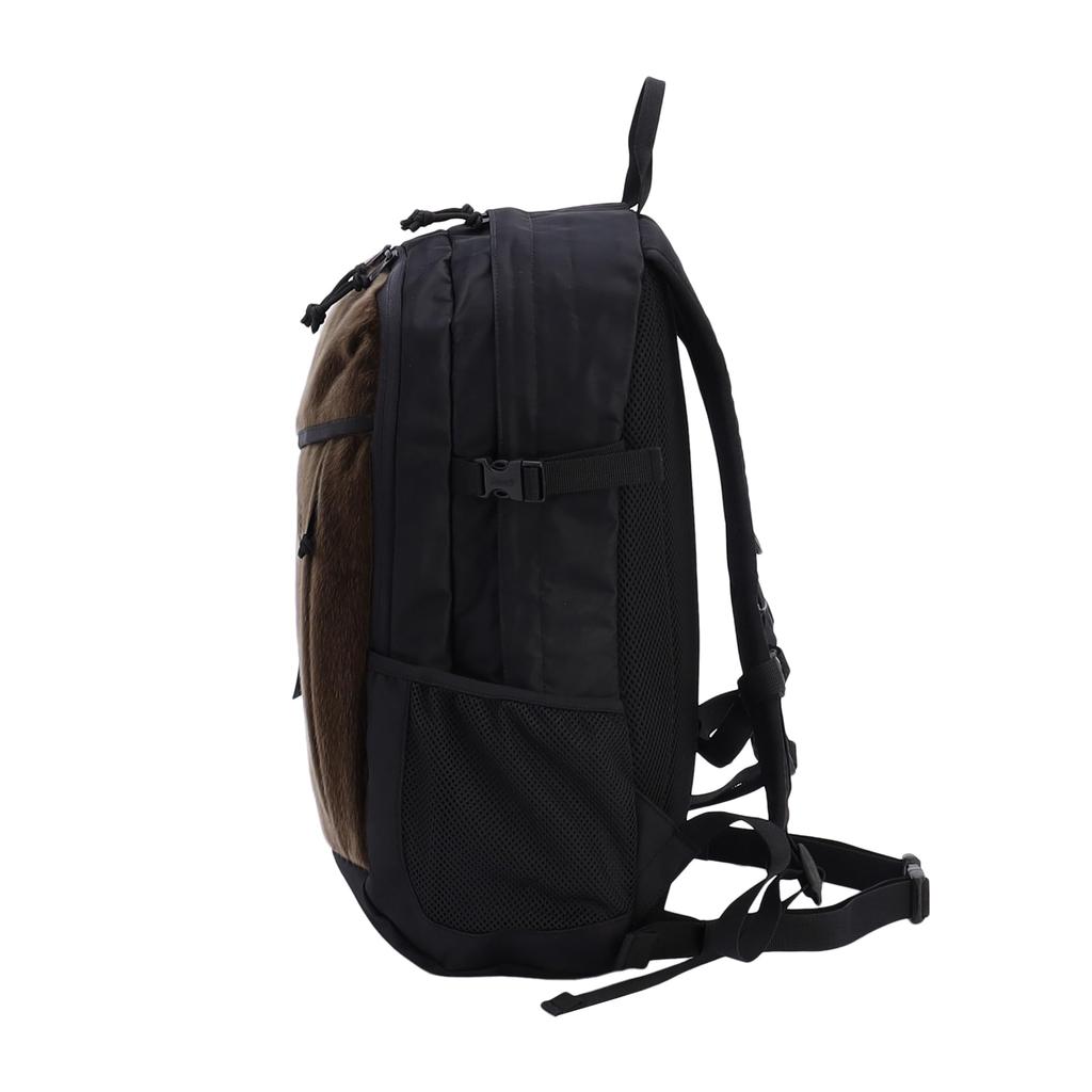 Coleman Walker 25 Brown Backpack,