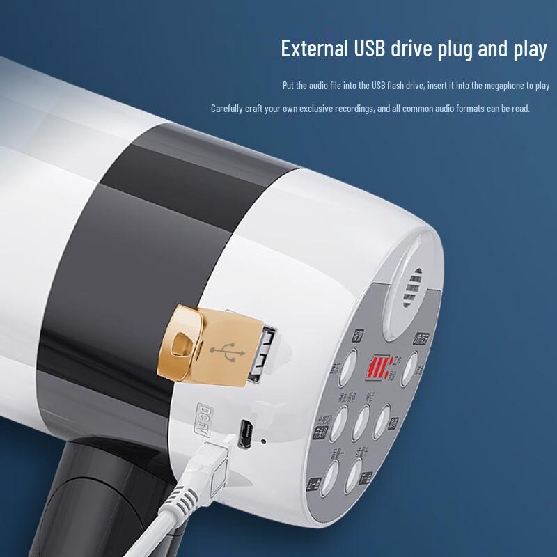 SAOAI S800pro Portable Bluetooth Voice Amplifier