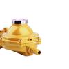 Explosion-Proof Gas Valve: Auto Shut-off & Safety Lock for Liquefied Gas Tanks