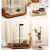 Transparent Acrylic Reptile Breeding Box for Spiders Lizards Amphibians Leakproof Pet Habitat Arboreal Wolf Spider Enclosure