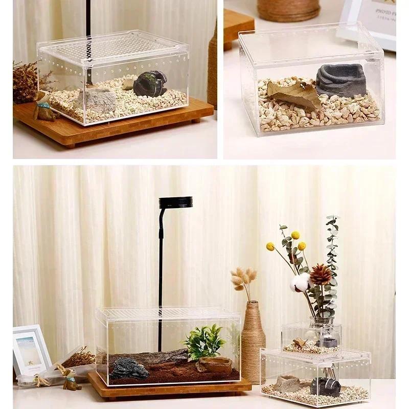 Transparent Acrylic Reptile Breeding Box for Spiders Lizards Amphibians Leakproof Pet Habitat Arboreal Wolf Spider Enclosure