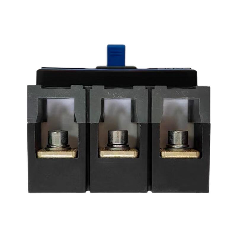 Chint NXM-63S AC Molded Case Circuit Breaker