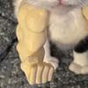 Yousheng Cat Muscle Arm 3D Printed Neck Arm with Muscle Pet Cosplay Costume Accessories for Halloween Birthday Party Supplies