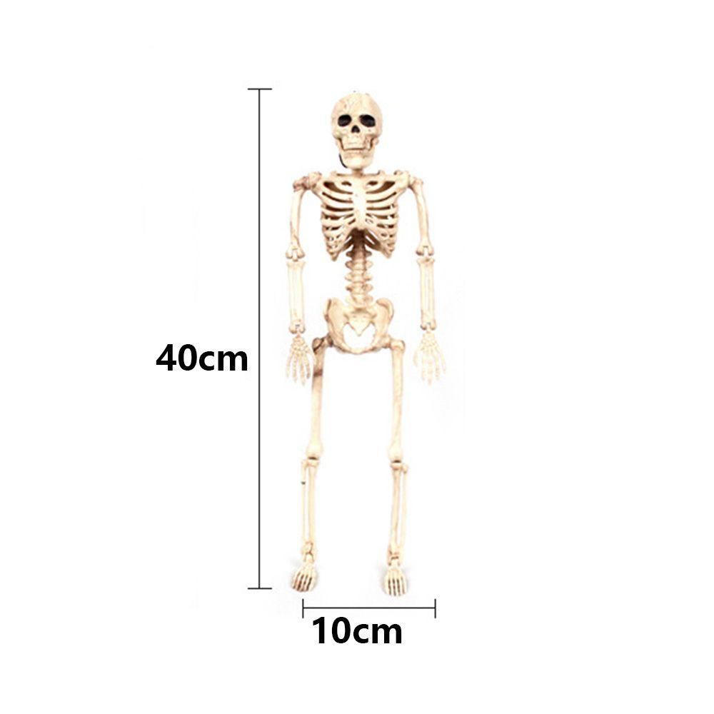 1 PC Party Supply Anatomical Photography Props Model Halloween Bone Human Skeleton
