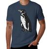 Galapagos Penguin TShirt Sports Basic Short Sleeve TShirt