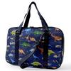 COLORFUL CANDY STYLE Calligraphy Set Dinosaur Continent PET Discover! Explore! (Navy)
