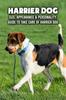 Книга Harrier Dog : Size, Appearance & Personality, Guide To Take Care of Harrier Dog: Harrier Dog Encyclopedia