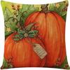 Thanksgiving Pumpkin Pillow Case Autumn Plant Flower Print Pillow Case Home Living Room Sofa Cushion Case