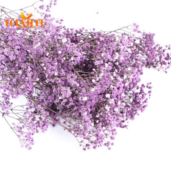 Букет эониума, сушеные цветы, яркий цвет, не выцветает, простота в уходе, натуральная сушеная гипсофила, сцена украшения ко Дню святого Валентина.