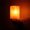 Himalayan Warm White Salt Lamp Natural Crystal Hand Carved Night Light Home Decor  Air Purifying with Plug Release Negative Ions