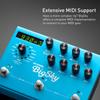 Strymon “BigSky” (Big Sky/Reverb Machine) []