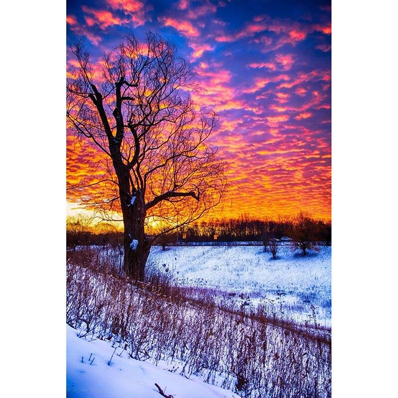 Новый 5D DIY алмазная живопись закат дерево Алмазная вышивка пейзаж вышивка крестом полная круглая дрель ремесла домашний декор подарок