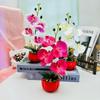 Phalaenopsis Artificial Decor With Highquality Materials For Gift And Use Event
