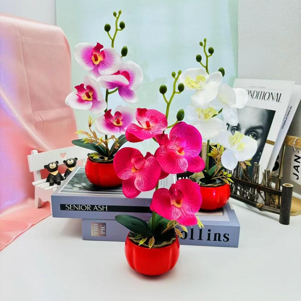 Artificial Decor Phalaenopsis With Highquality Materials For Gift And Use Event