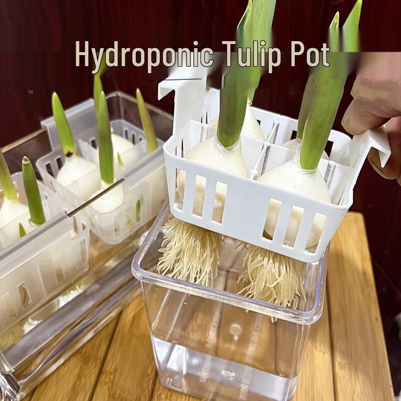Acrylic Hydroponic Pot with Planting Basket