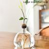 1pcs Sprouting Seed Starter, Planter Vase Glass Container, Planter Acorn Tree Grow Kit Decorative, Glass Bulb Spreader Vase, Unusual Gardening Gift