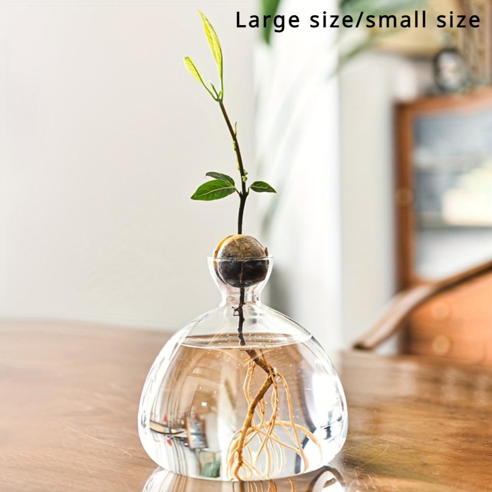 1pcs Sprouting Seed Starter, Planter Vase Glass Container, Planter Acorn Tree Grow Kit Decorative, Glass Bulb Spreader Vase, Unusual Gardening Gift