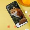 Милый Лис Осенью Чехол Для Samsung Galaxy M31 M32 M12 M52 M21 M15 M55 M56 M36 M16 M06 M13 M33 M53 M14 M34 M54