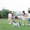 Themed Birthday Supplies Decorations Aluminum Balloon Horse Balloon Inflatable Toys Horse-Shaped