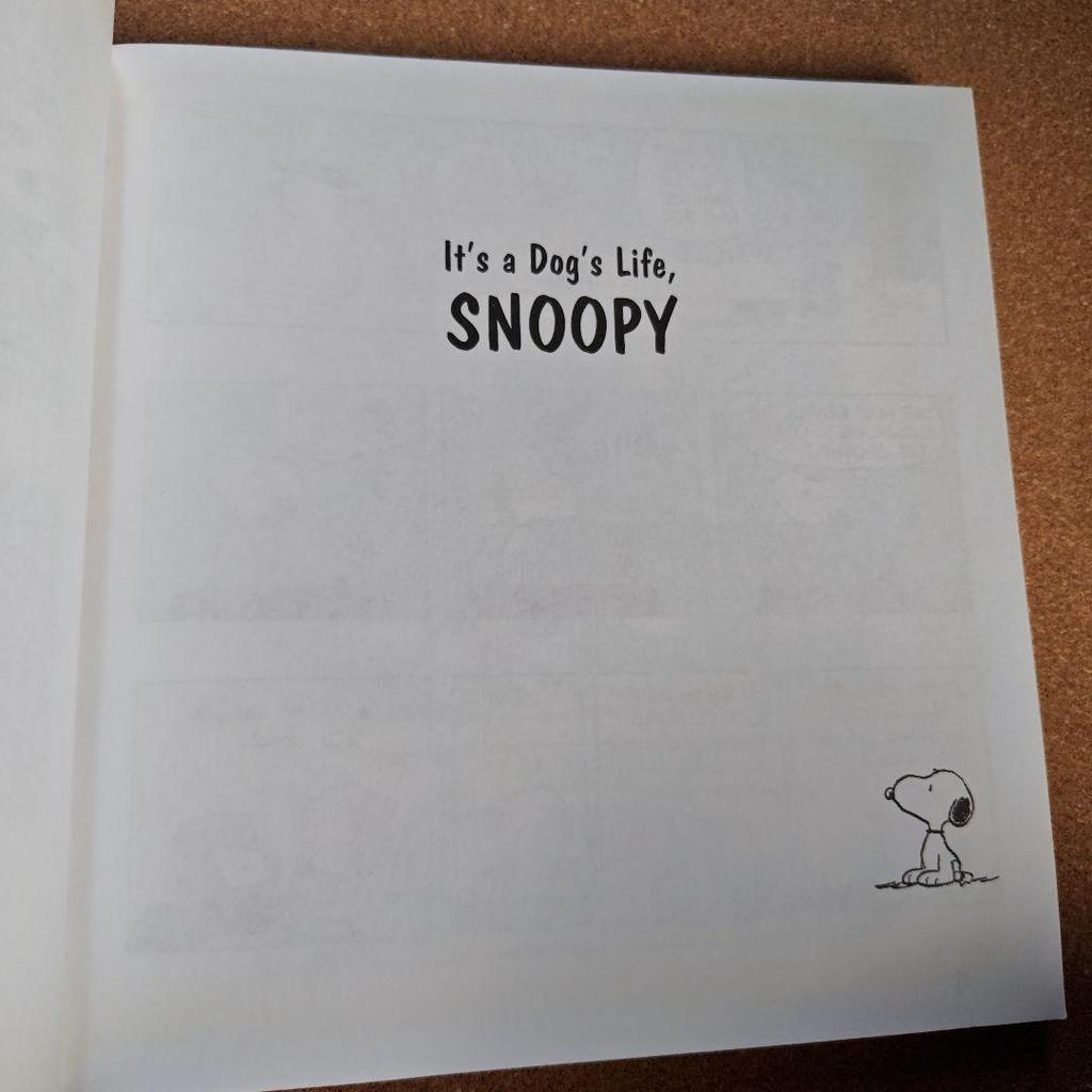 [USED] SNOOPY, IT'S A DOG'S LIFE, SNOOPY