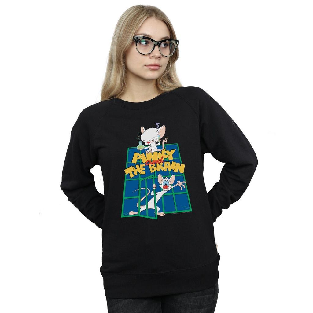 Animaniacs Womens/Ladies Pinky And The Brain Laboratory Sweatshirt