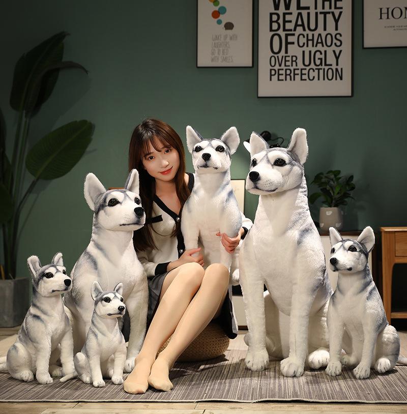 Simulation Husky Doll Plush Toy Dog Erha Doll Children'S Soothing Ragdoll Boy Birthday Gift