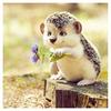 DIY 5D алмазная живопись животное Ежик полная алмазная вышивка цветок сиреневый алмаз мозаика животные и цветы горный хрусталь картины домашний декор