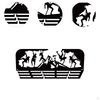 Rack for Wall Mounting, Organizer Athletic Achievements