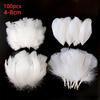 4-8Cm Feathers Decoration White 100Pcs Plumas For Crafts Small Bulk Goose Chicken Dream Catcher Making Massage House Piume Salon