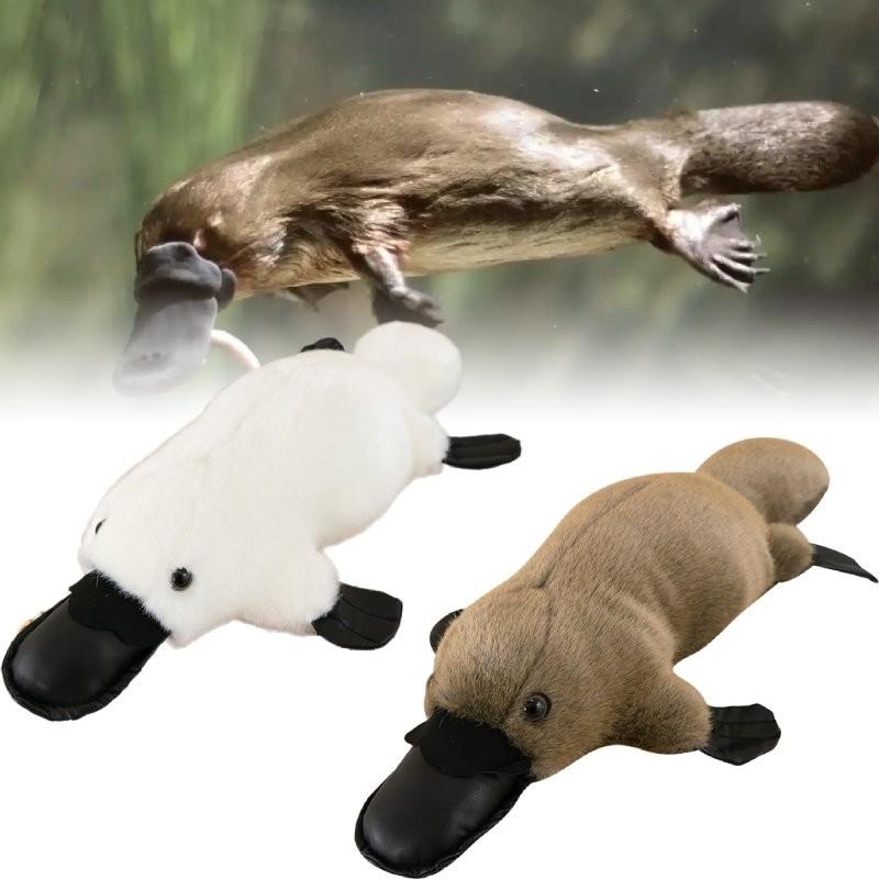 Плюшевая игрушка Утконос Куклы Украшения для комнаты Детские подарки Рождество