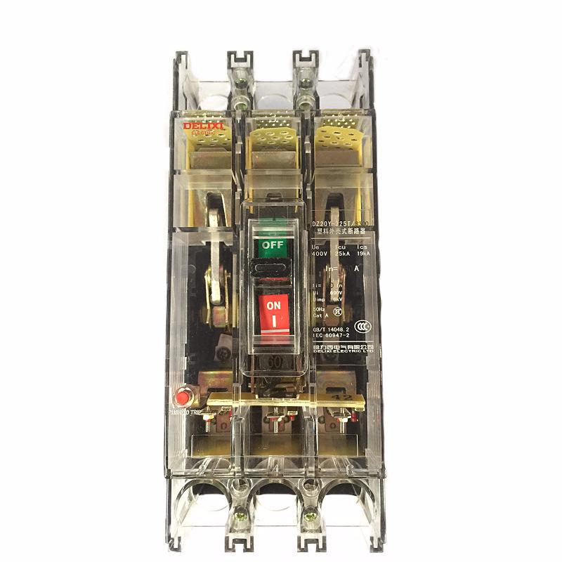 Delixi DZ20Y-T 250A Transparent Circuit Breaker
