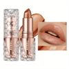 Shimmering Lipstick Long-Lasting Waterproof Lipstick Smooth Texture Full Coverage Glitter Lipstick Available In Black Golden Red Pink Lip Makeup