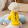 Nervous Cat Pet Clothes Autumn and Winter Out Can Pull Good Things Happen Small Dog Two-legged Sweater Dog Clothes