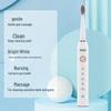 Nordic Asa AS-002Z Sonic Electric Toothbrush