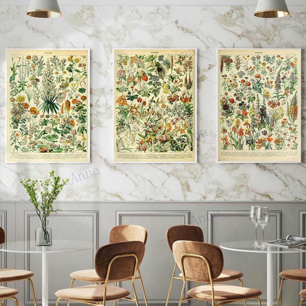Adolphe Millot Encyclopedia Poster Fruit Botanical Mushrooms Herbs Flowers Canvas Paintings Print Vintage Wall Art Room Decor