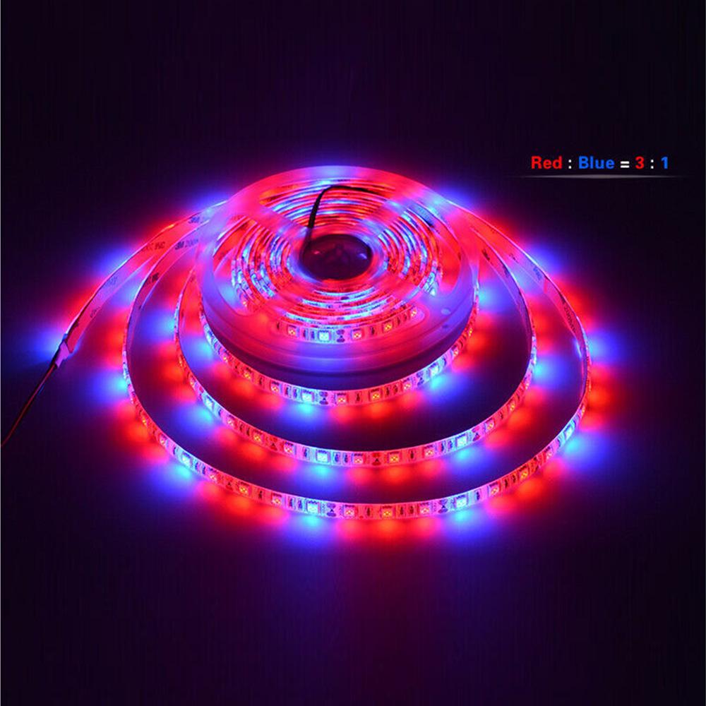 5 метров 5050Светодиодная световая панель для роста растений 60 ламп/м 3:1 4 красный 1 синий 5:1 растение для легкого выращивания