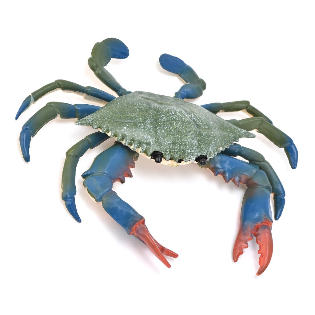 Realistic Marine Animal Crab Model Simulated Plastic Crab Kid"s Educational Props Crab