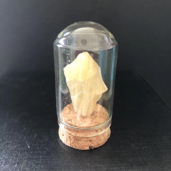 Natural Crystal Rock Mineral Specimens: Educational Gifts for Kids