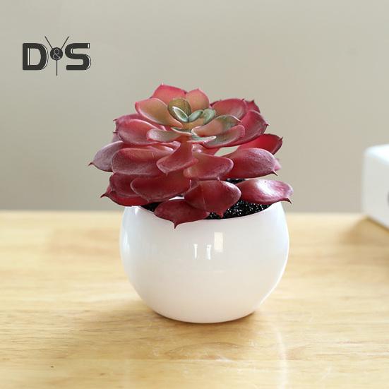 Пластиковые искусственные сочные анти-выцветания красивые маленькие поддельные растения в горшках настольные украшения