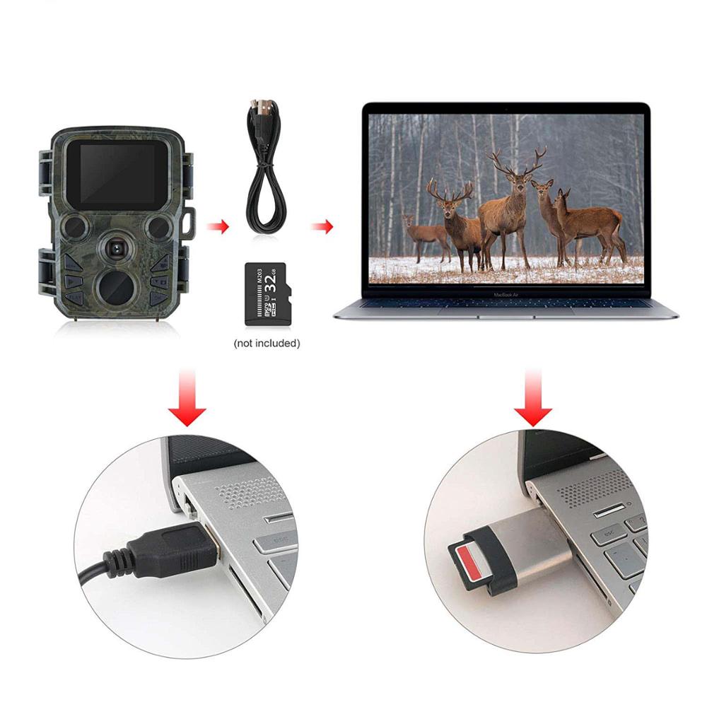 Охотничья камера MINI Chasse 16MP 1080P Full HD Камера-разведчик дикой природы с ночным видением