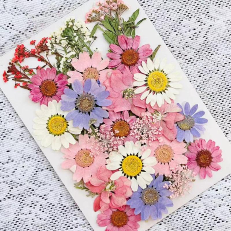 Natural Herbs Kit Dried Pressed Flowers Real Pressed Flowers Dry Leaves Bulk for Scrapbooking DIY Art Crafts Epoxy Jewelry Molds Soap Making