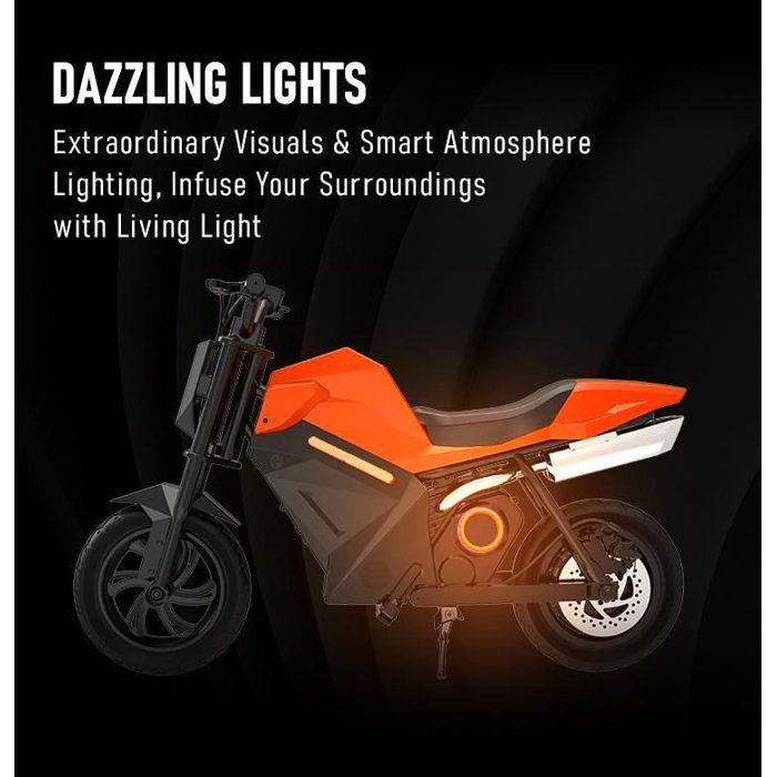 Moto électrique pour enfants - OVIVO - OVIVO ADV250 - 25,2 V 5,2 Ah - 250 W - Autonomie 16 km