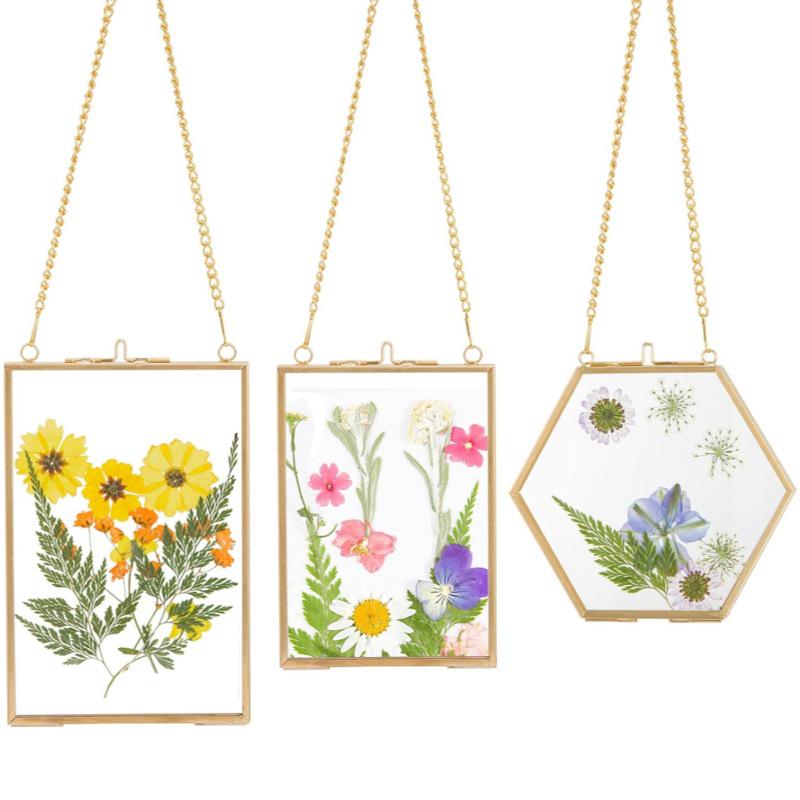 Three-Piece Brass & Glass Hanging Wall Frame Set for Plants & Photos