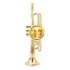 Exquisite Musical Instruments Shape Brooch Women Dress Clip with Case for Gift(#2)